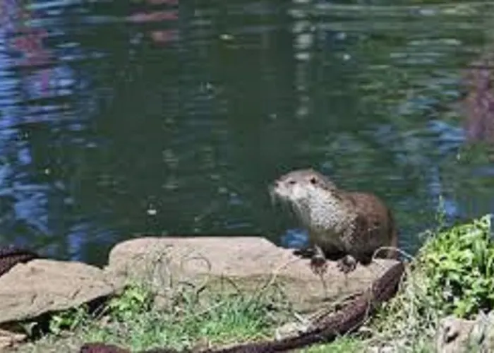 Casa Cervo Artes Apartman *